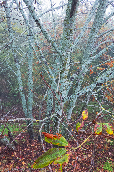 Clayhaus-p1000160-edit