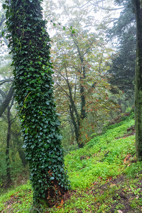 Clayhaus-p1000170-edit