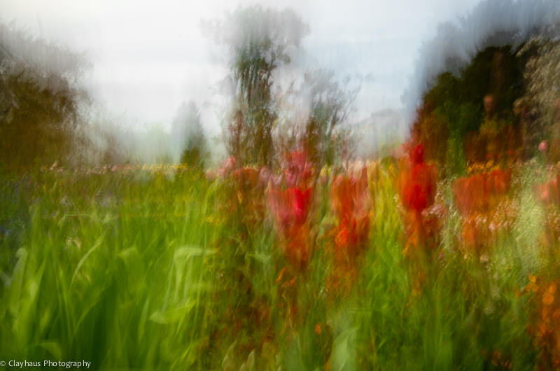 Impressions of Monet's Gardens