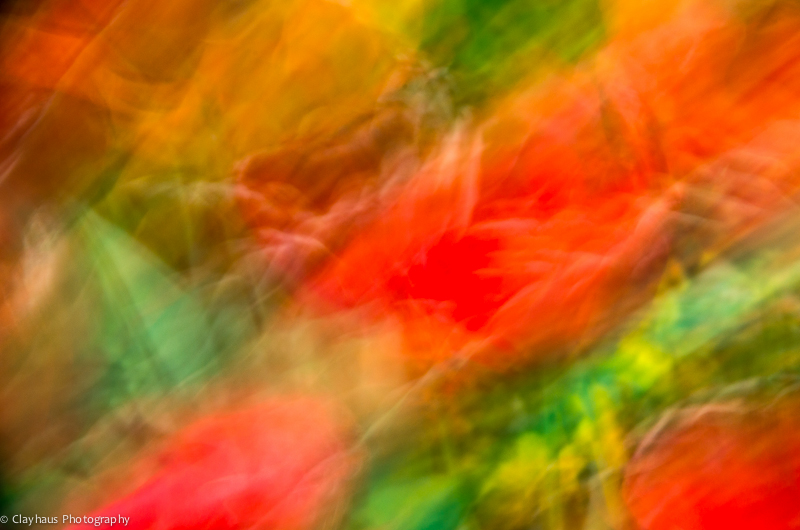 Impressions of Monet's Gardens