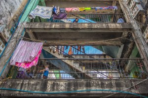 A Journey Through the White Building