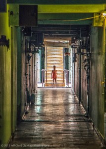 A Journey Through the White Building