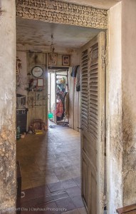 A Journey Through the White Building